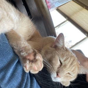 Meet your Posher, Isabella